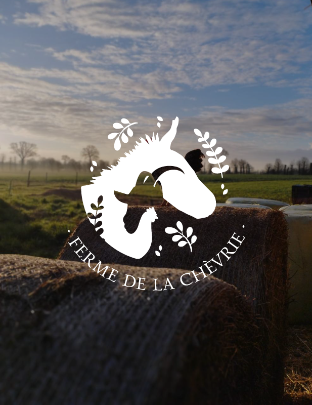 Virginie-Guidal-graphiste-webmaster-site-internet-quimper-finistere-les-jardins-voyageurs-logo-depliant-site-vitrine-4
