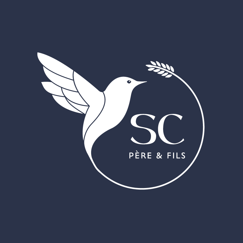 Virginie-Guidal-graphiste-webmaster-site-internet-quimper-finistere-maison-gonidec-logo-cartes-de-visite-3